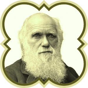 Portrait of Maestro Darwin