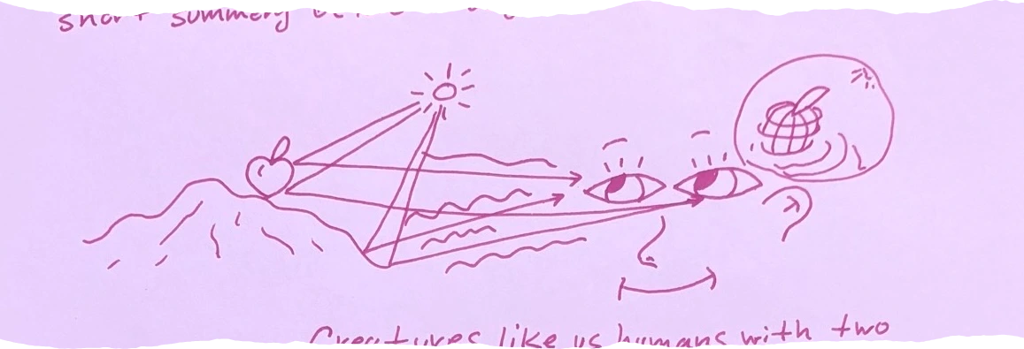 A diagram showing light reflecting from a sun onto an object on a hill, then into two eyes. A thought bubble shows a 3D model being formed.