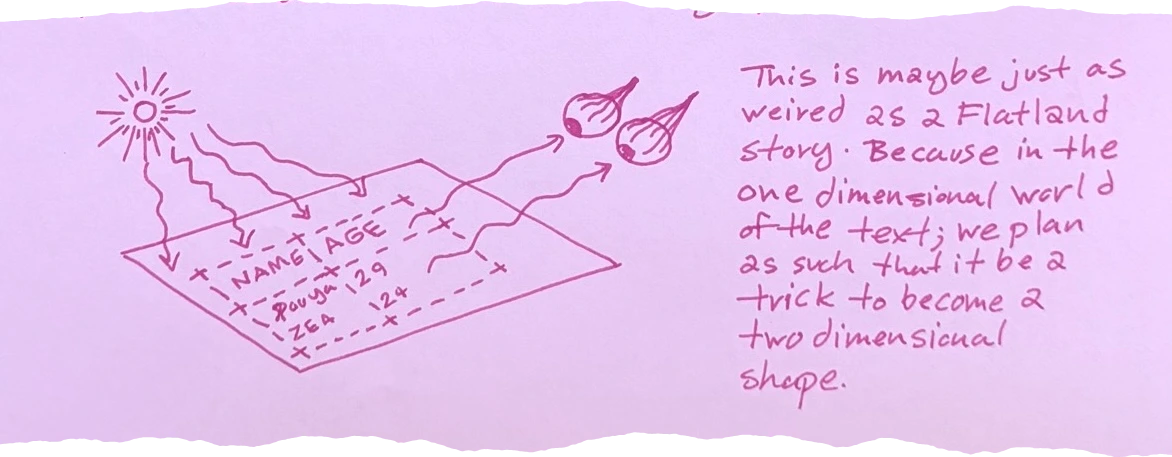 Bottom diagram showing a grid with 'NAME', 'AGE', 'Pouya, 29', and 'ZEA, 12+' being hit by light waves and reflected into two eyes. And in the side it is written: This is maybe just as weird as a Flatland story. Because in the one dimensional world of the text; we plan as such that it be a trick to become a two dimensional shape.