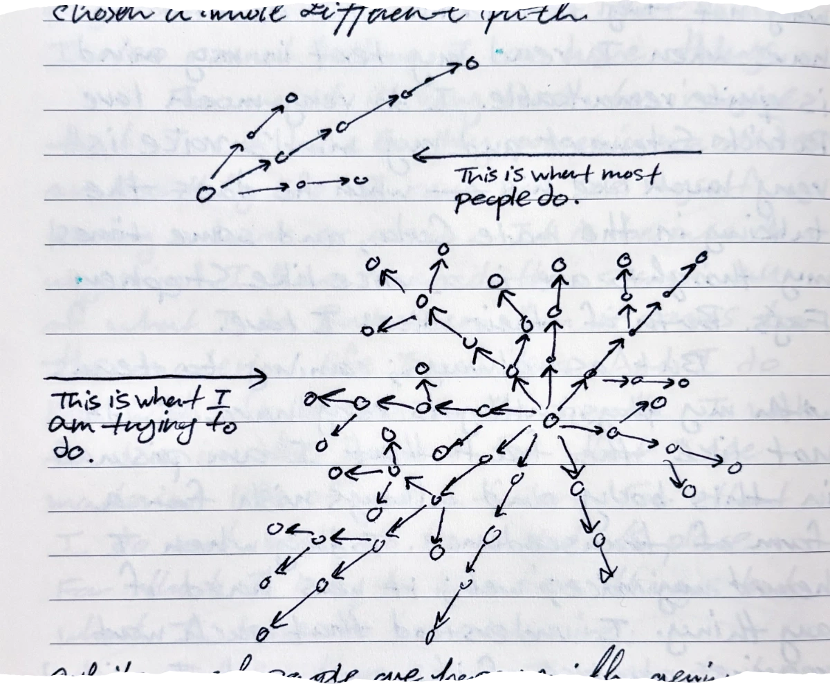 two vector diagrams comparing life paths: the first shows a few arrows moving in a single general direction labeled 'This is what most people do,' and the second shows a complex radial burst of arrows branching out in every possible direction from a central point labeled 'This is what I am trying to do.'