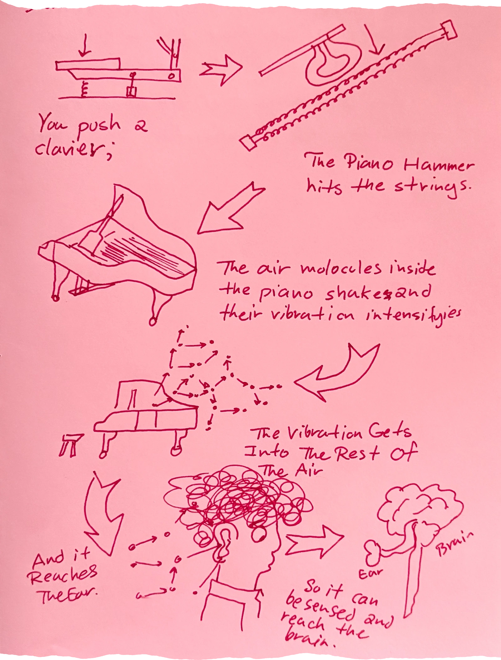 a series of diagrams showing a piano key mechanism being pressed, a hammer striking strings, a grand piano vibrating, air molecules moving, and finally sound entering a person's ear to reach the brain You push a ==clavier== The Piano Hammer hits the strings The air molecules inside the piano shake and their vibration intensifies The Vibration Gets Into The Rest Of The Air And it Reaches The Ear So it can be sensed and reach the brain.