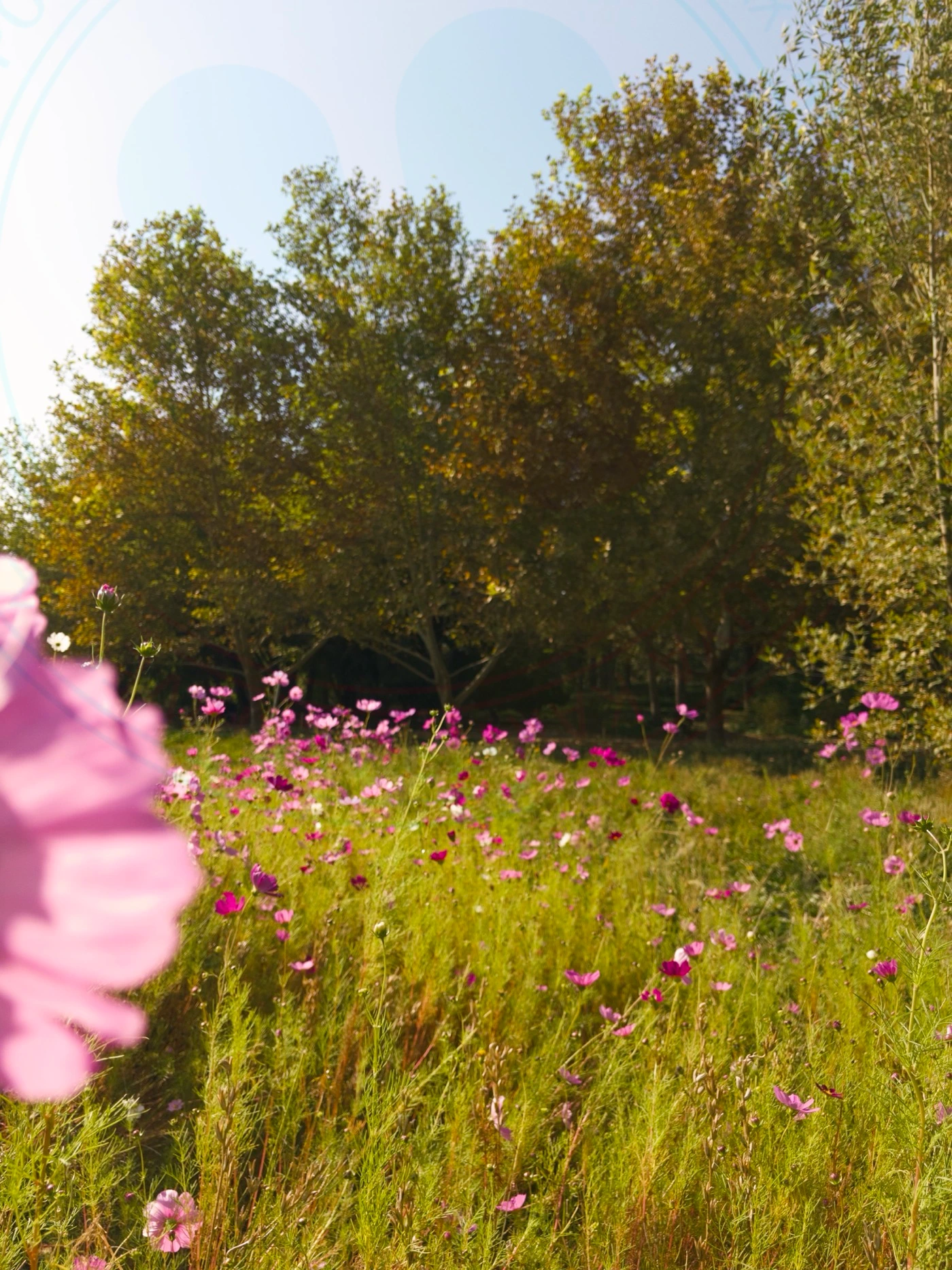 Visiting National Botanical Garden of Iran