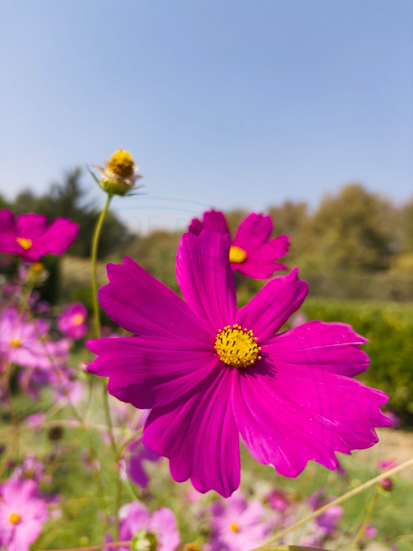 Visiting National Botanical Garden of Iran