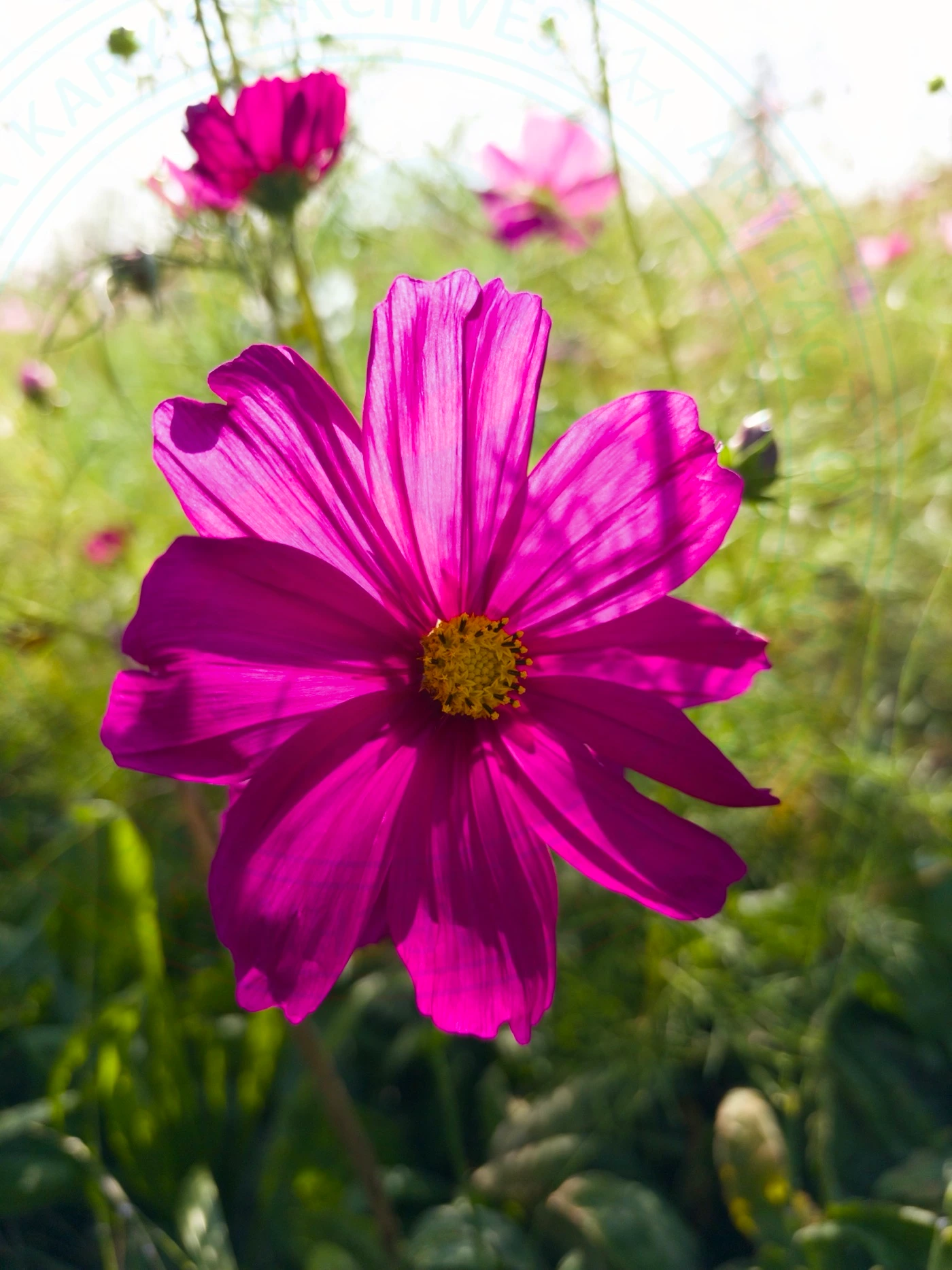 Visiting National Botanical Garden of Iran