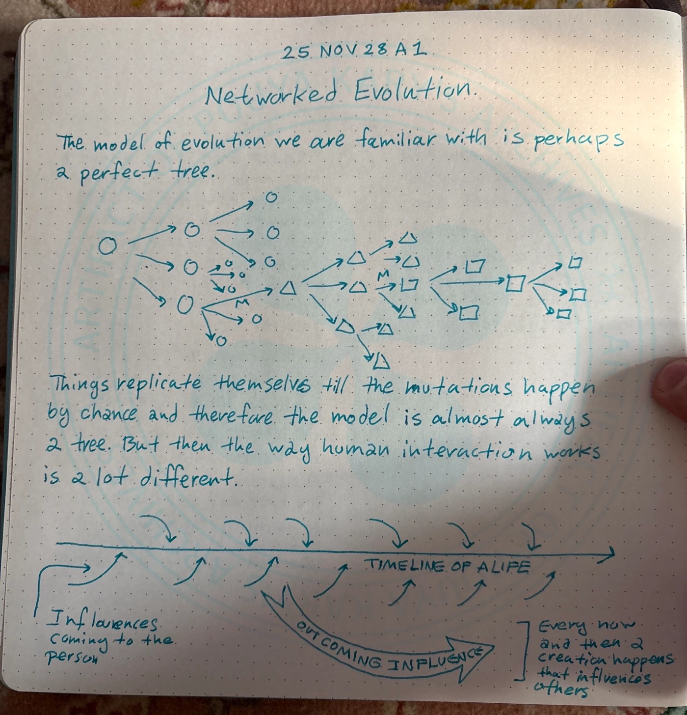 Networked Evolution: The First Sketch